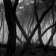 The Tardy Return from a Beautiful Nowhere