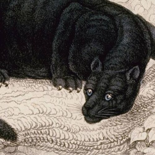 Stream Brotherhood Of Steel Bust A Rhyme by Sweaty Listen online