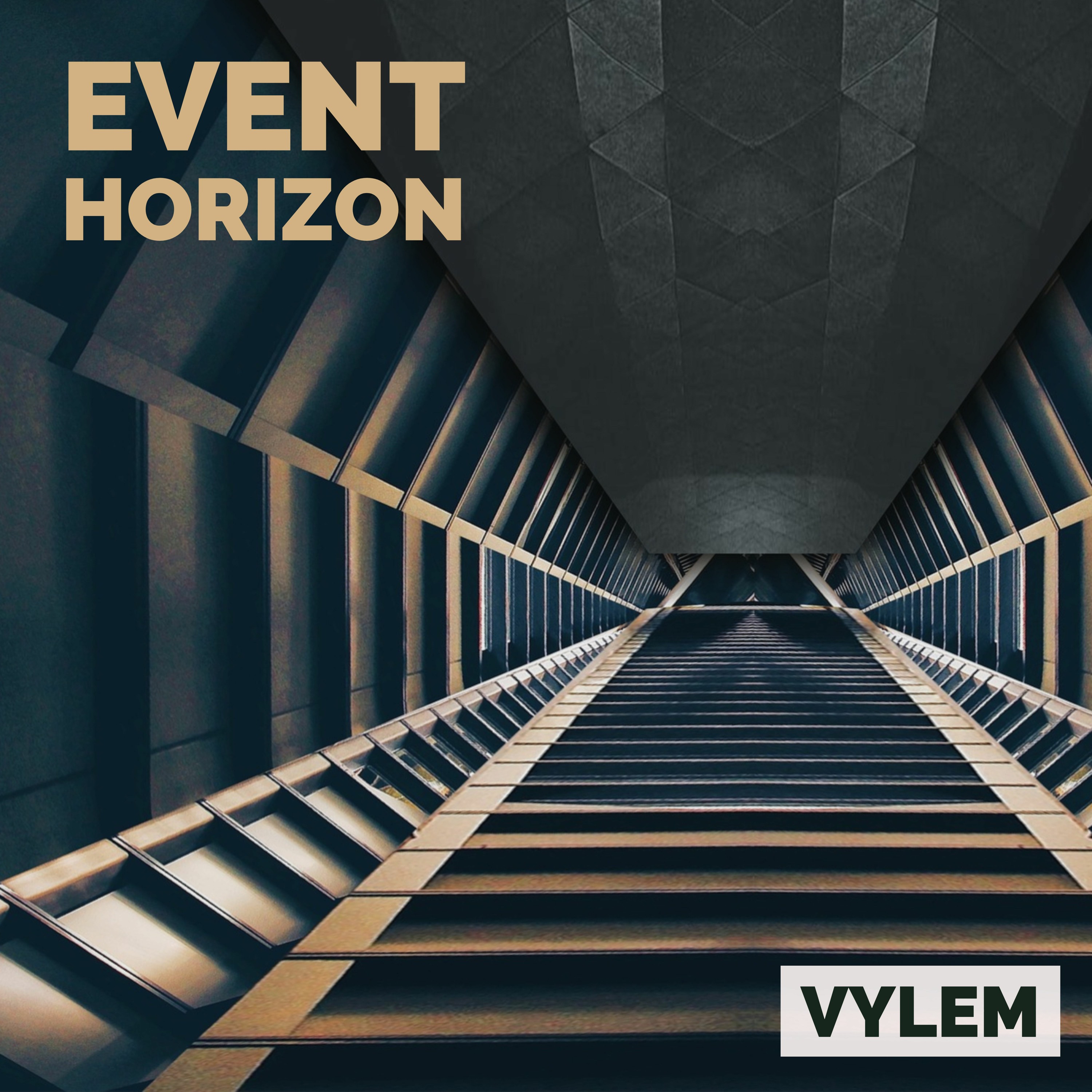 VYLEM
