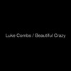 Luke Combs Beautiful Crazy Cover Mp3