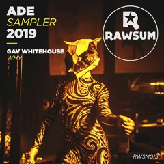Gav Whitehouse - Why (Original Mix)