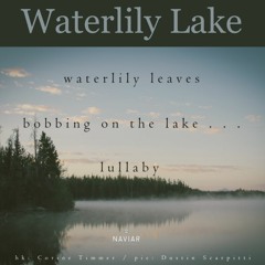 Waterlily Lake(naviarhaiku301)