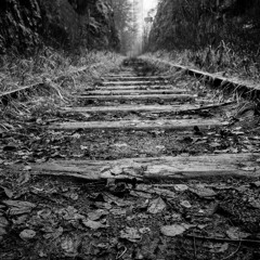 DeSi - GUNZ STILL HOT