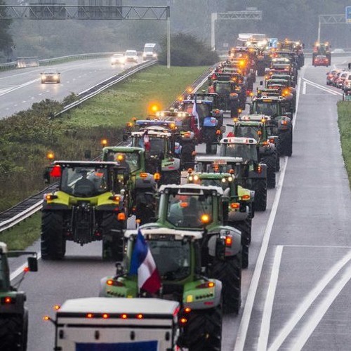 De boer da's de Keal ( the farmer is the dude )