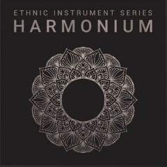 8Dio Harmonium "Exposed Demo 5" By Troels Folmann