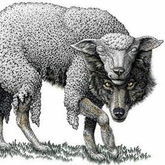 wolf in sheep's clothing (acapella cover)