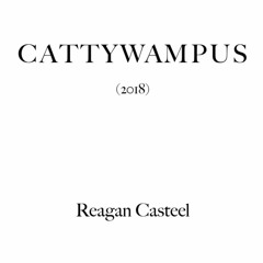 Cattywampus