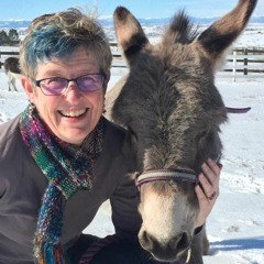 Testing in DevOps: A Conversation with Lisa Crispin