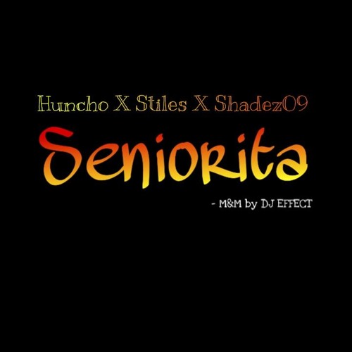Seniorita Remix (ft Stiles X Shadez09)