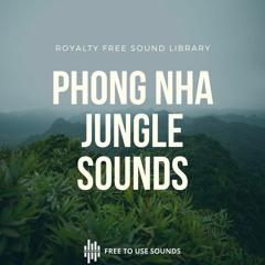 Nature Sounds | Rainforest Sounds Phong Nha | Sound Compilation