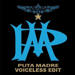 RAF Camora feat. Ghetto Phenomene - Puta Madre (Club Edit)