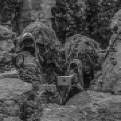 Camouflage (preview)