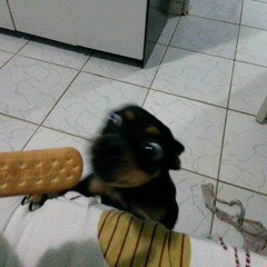 EU QUE SABOTEI