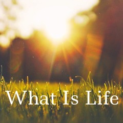 What Is Life (Official Audio)