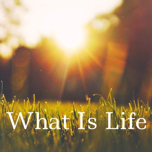 What Is Life (Official Audio)