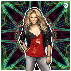 Shakira - Whenever Wherever (VR Remix)