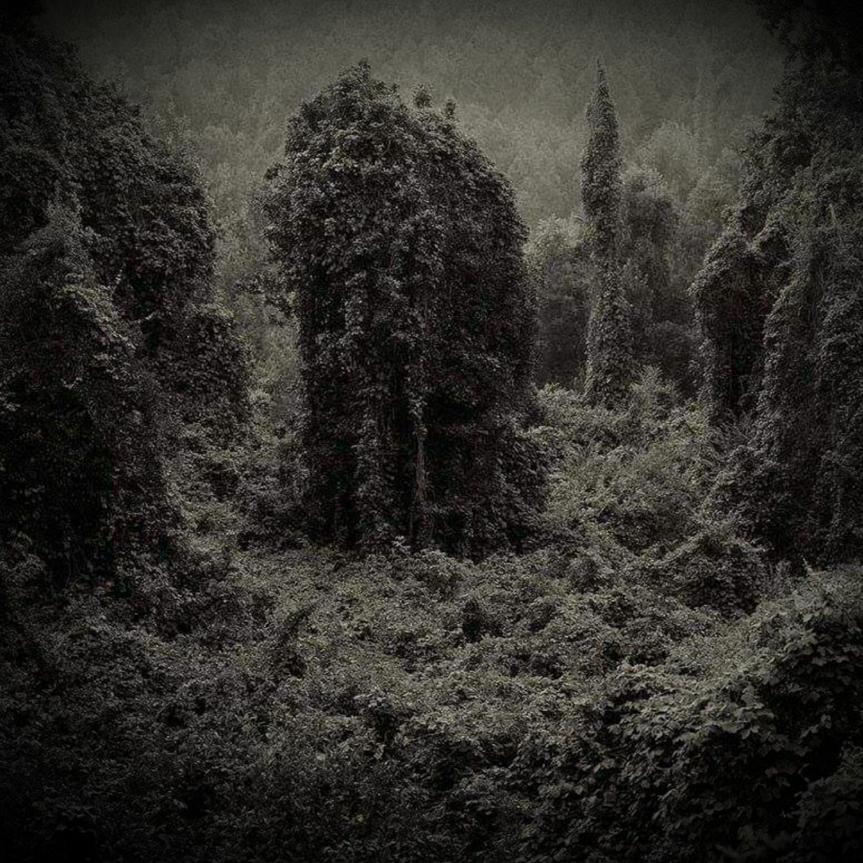 Anima episode artwork
