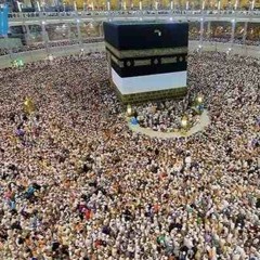 قصيدة آل ودِّى (كلمات د. عمرو فرج لطيف /انشاد- الشيخ أحمد بيومى)