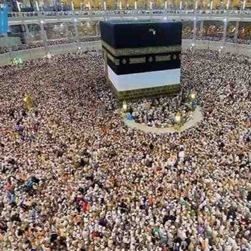 قصيدة آل ودِّى (كلمات د. عمرو فرج لطيف /انشاد- الشيخ أحمد بيومى)