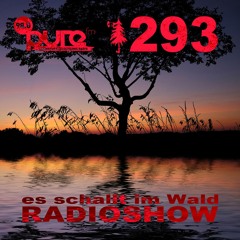ESIW293 Radioshow Mixed by Cult Jam