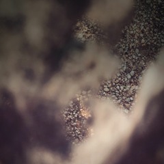 "drone" Edith Steyer/Silvia Ocougne