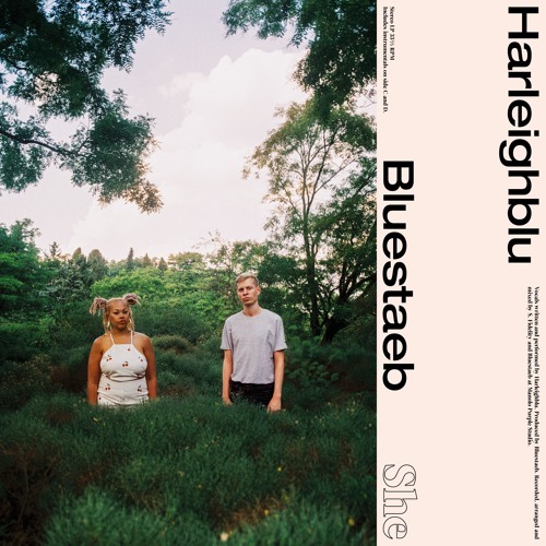 Harleighblu & Bluestaeb - Call