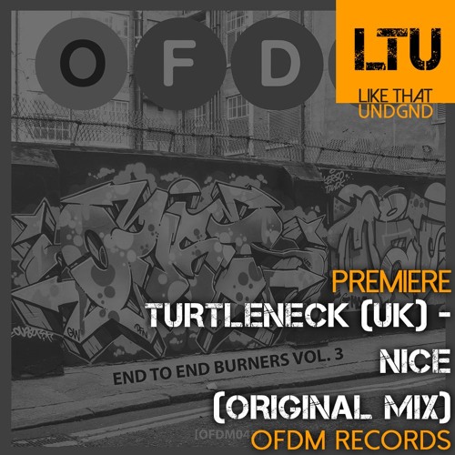 Premiere: Turtleneck (UK) - Nice (Original Mix) | OFDM Records