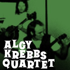 The Algy Krebbs Quartet - Sins Of The World Polka