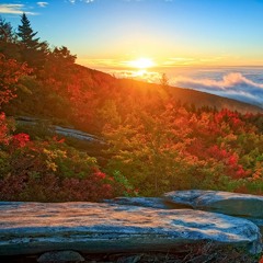 Autumn Evenings