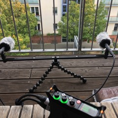 Audio Technica AT - 4022 (50dB)
