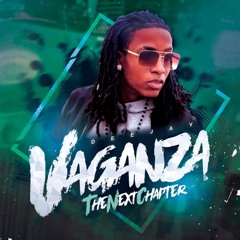 The Next Chapter Mixtape (Mixed By. DJ VAGANZA)