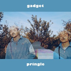 gadget (Follow iG @pringssz)