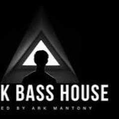 bass house - hard bass