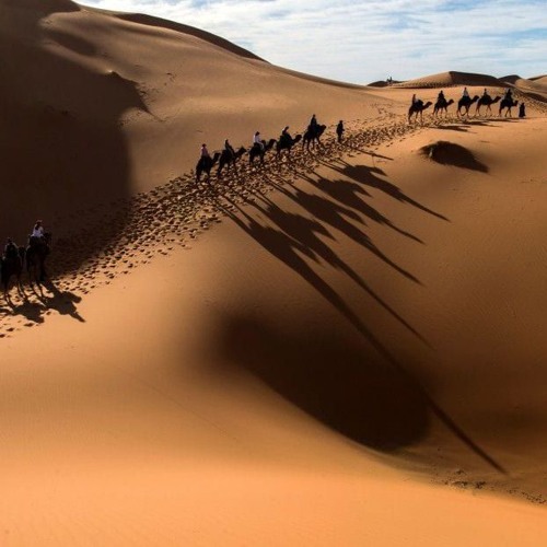 NarKBeat - Across The Desert