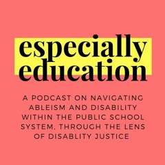 Ep. 2: Interview on Learning Disabilities in the School Environment