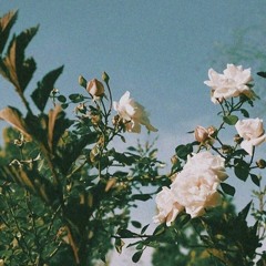 untitled2.wav