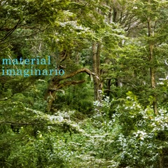 Material Imaginario