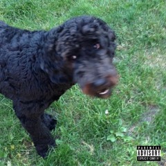 DOG SHIT! (prod. by Fantom)
