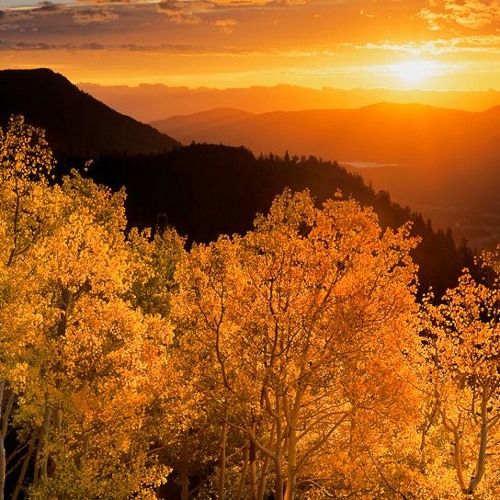 Sun & Saxophones: Aspen