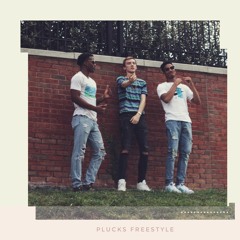 PLUCKS FREESTYLE