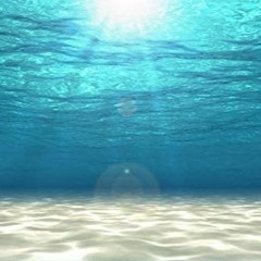 بلادي أحييك - أمل كعدل