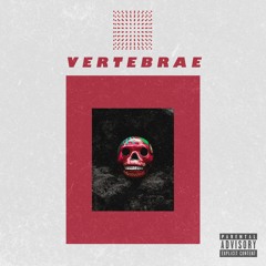 Mozado - Vertebrae