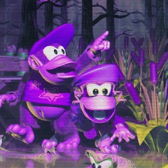 Donkey Kong Country 2 - Bayou Boogie (The Identity Matrix Remix)