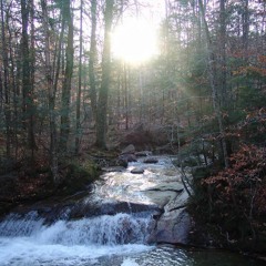 The Truth, and the Light