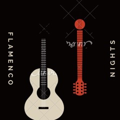 Flamenco nights Adam Guitar & Brandon Guitar
