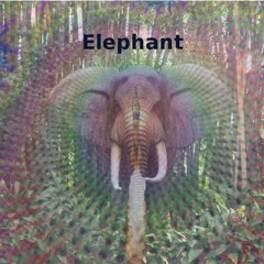 ~ Elephant ~ Beat