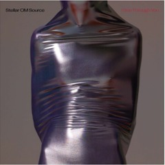 DKMNTL075 // Stellar OM Source - I See Through You Excerpts