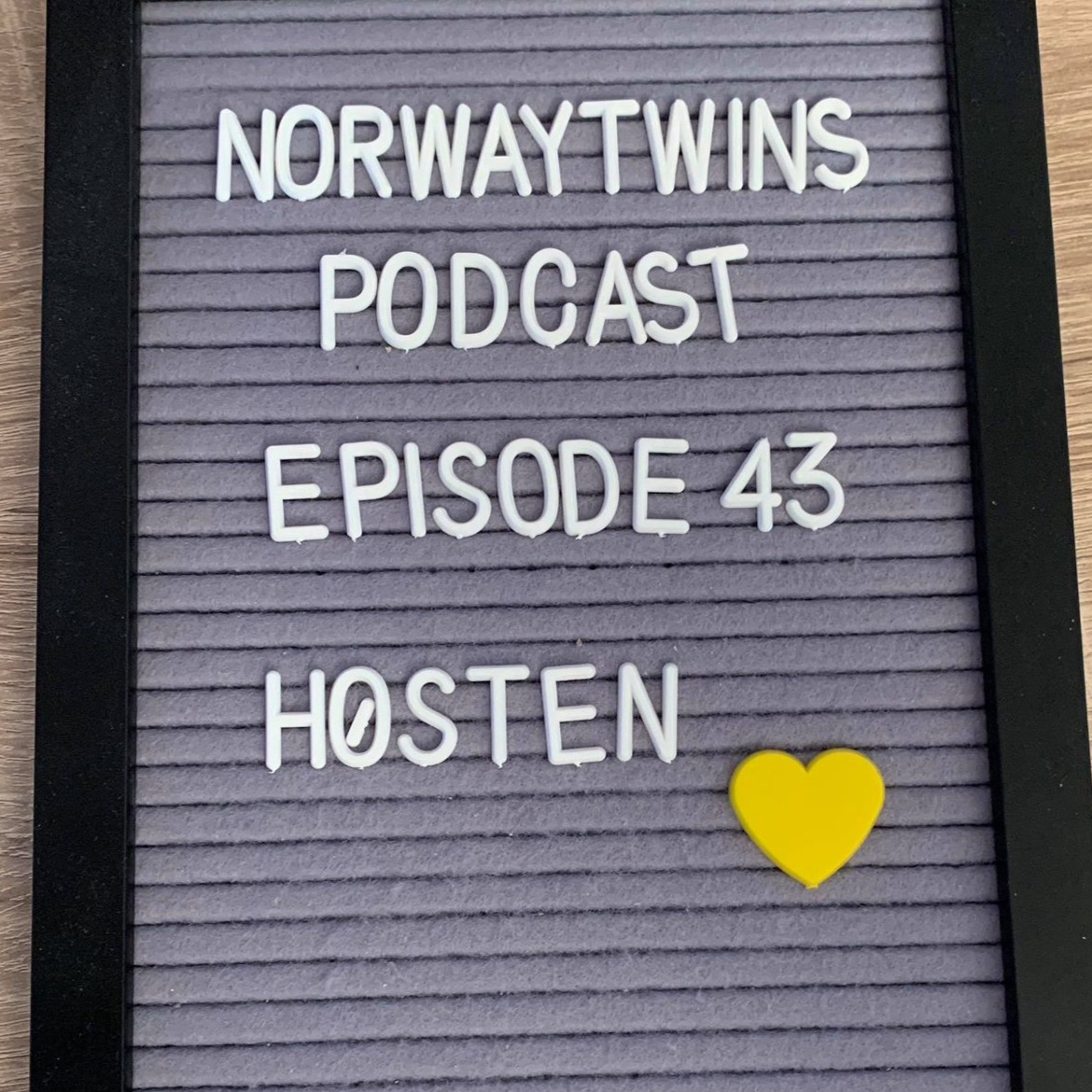 Norwaytwins om ting og tang