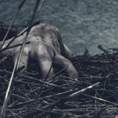 Farid Aslanov - Horrorbox [Calculator remix]