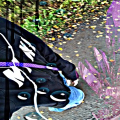 signals (prod. hoodwtch)